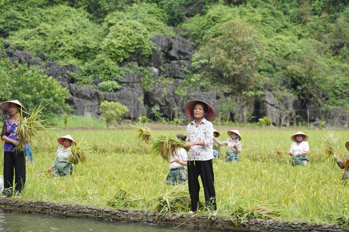 Tam Coc-Trang An’s beauty during festival season - 2