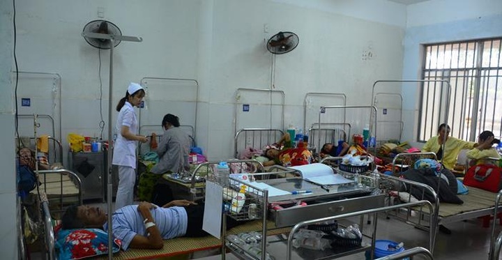 Dengue fever outbreak reported in Quang Nam - 1 Dengue fever outbreak reported in Quang Nam - 1