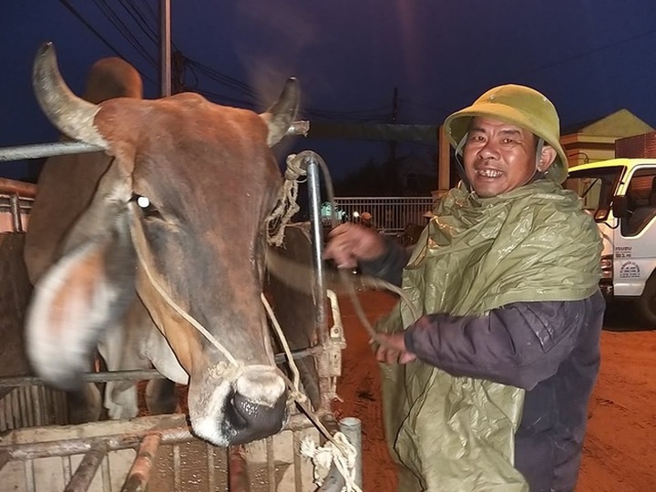 Cattle market busy with year-end session - 3