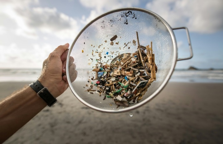 14 million tonnes of microplastics on sea floor: Australian study - 1