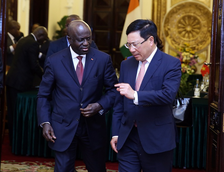 Vietnam, Ivory Coast vow to deepen bilateral ties - 1