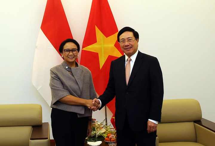Vietnam, Indonesia commit to close coordination as UNSC non-permanent members - 1