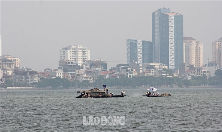Another fish death hits Hanoi’s largest lake - 1 Another fish death hits Hanoi’s largest lake - 1