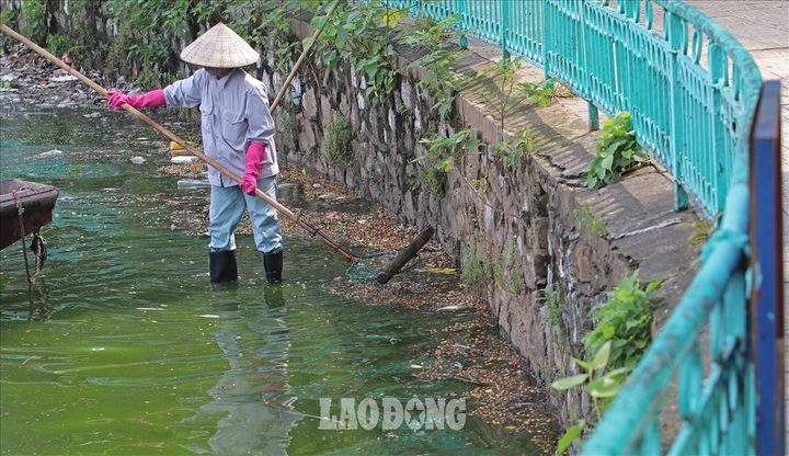 Another fish death hits Hanoi’s largest lake - 5 Another fish death hits Hanoi’s largest lake - 5