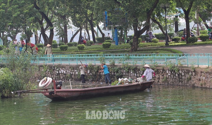Another fish death hits Hanoi’s largest lake - 4 Another fish death hits Hanoi’s largest lake - 4