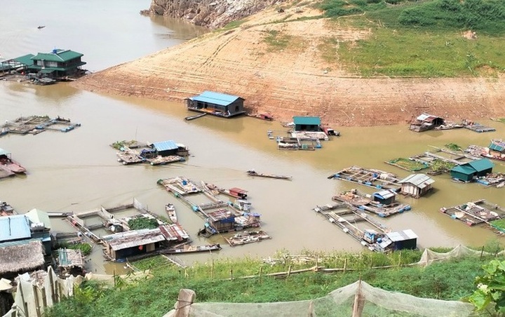 30 tonnes of fish found dead on Da River - 1