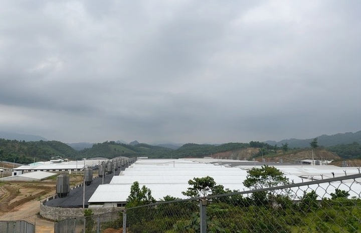 Thanh Hoa pig farm suspended for causing pollution - 1 Thanh Hoa pig farm suspended for causing pollution - 1