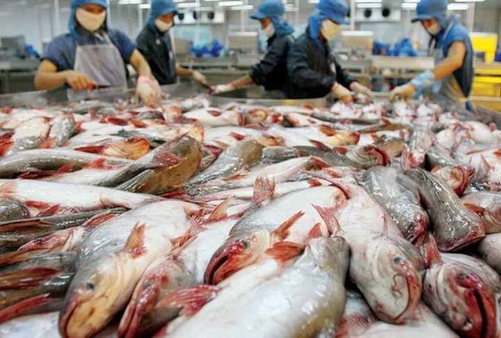 Cambodia cancels Vietnamese catfish import ban - 1