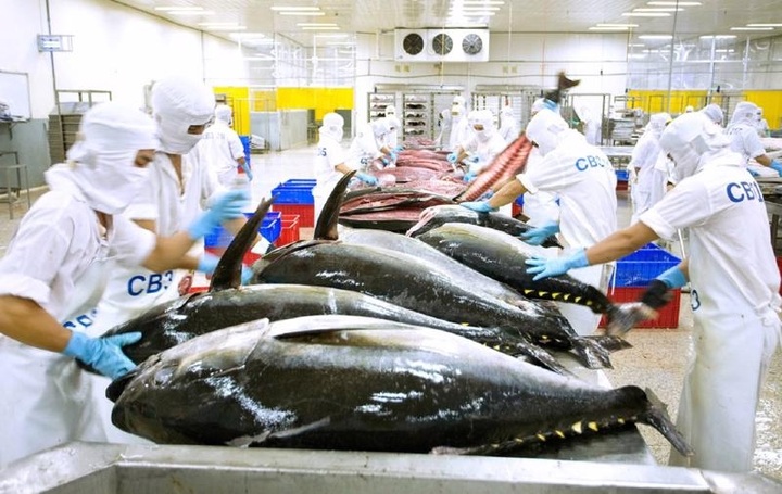 Fisheries sector sets sights on US$10 billion export target - 1 Fisheries sector sets sights on US$10 billion export target - 1