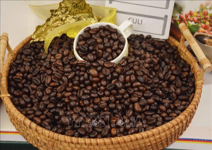 Vietnam’s coffee export value doubles in January - 1 Vietnam’s coffee export value doubles in January - 1