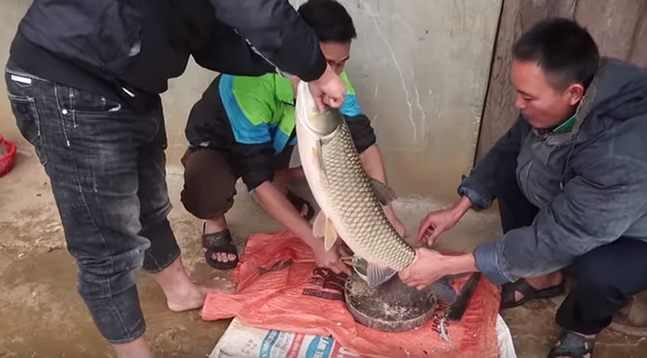 Raw fish blood pudding challenge in northwestern region - 1