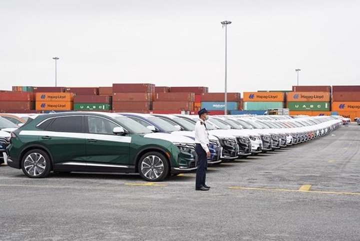 Domestic automobile market experiences hard year - 1