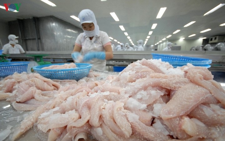 Tra fish exports to UK rise despite COVID-19 pandemic - 1