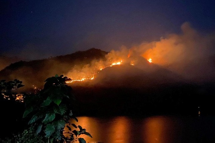Fire damages over 50 ha of forest in Son La - 1