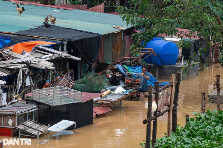 Households under Long Bien Bridge relocated - 9