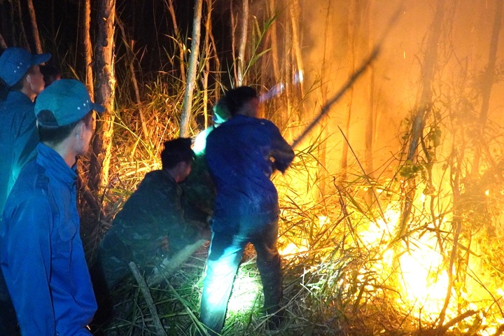 Forest fires spreading in Ca Mau - 1