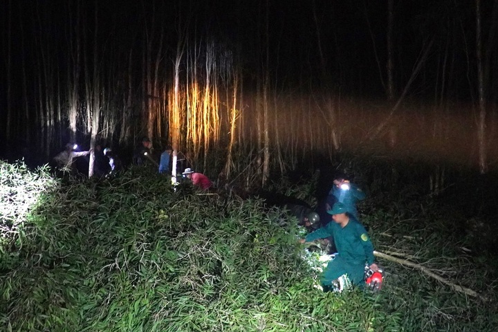 Forest fires spreading in Ca Mau - 2