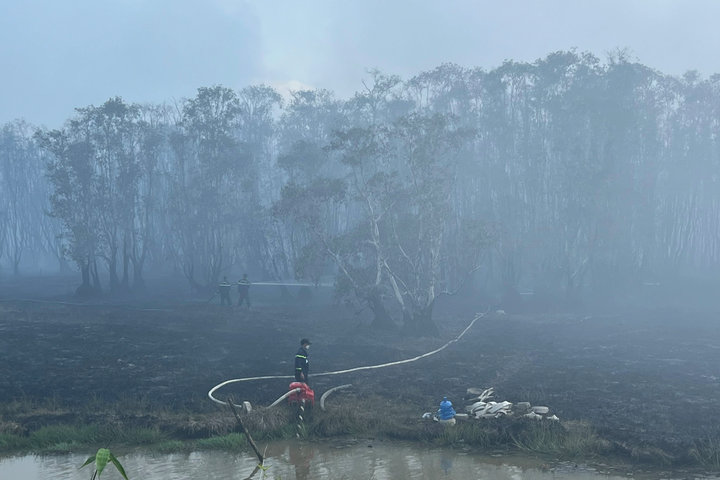 Tram Chim National Park fire caused by human burning activities - 1