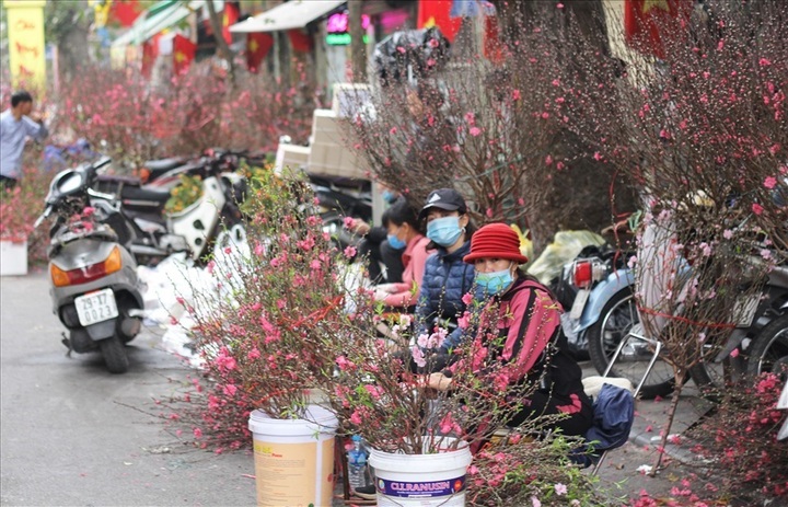 Hanoi streets set to hold Tet flower markets - 1