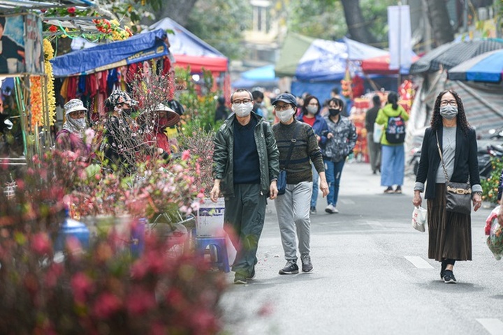 Hanoi streets to serve as Tet flower market - 1