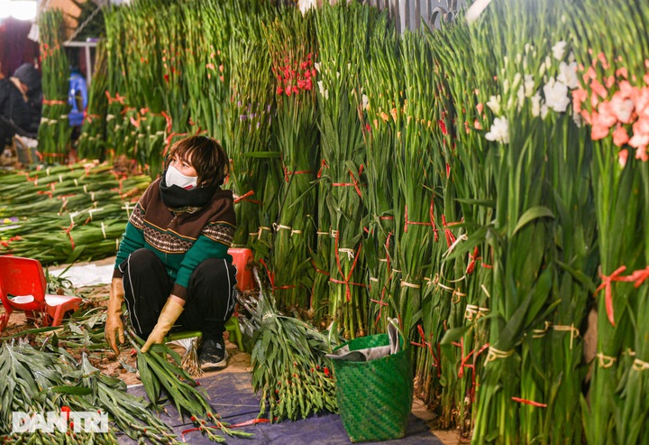 Hanoi flower market open 24 hours a day for Tet demand - 3
