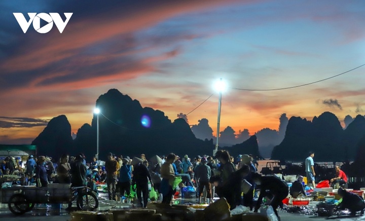 Fish market by Bai Tu Long Bay - 2 Fish market by Bai Tu Long Bay - 2