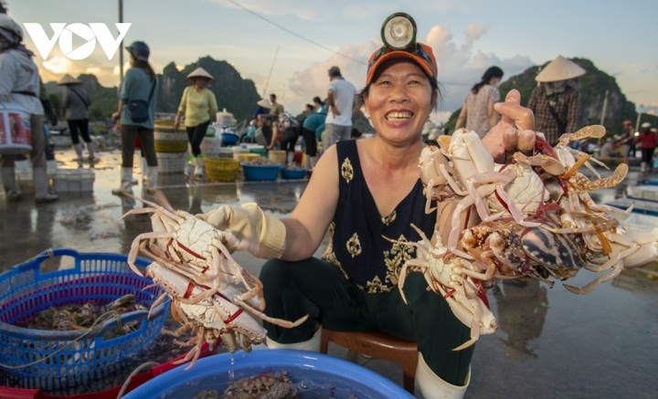 Fish market by Bai Tu Long Bay - 4 Fish market by Bai Tu Long Bay - 4