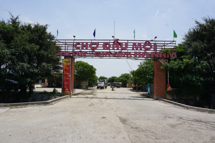 Pig market experiences slow sales as prices increase - 1