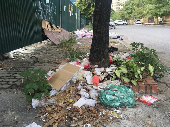 Illegal dumping remains rampant in Hanoi - 5