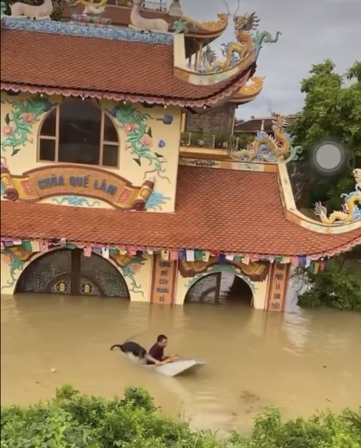 Phu Tho man drowns saving dog from flood - 1
