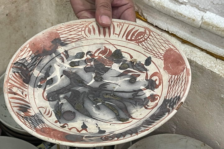 Quang Ngai search for possible 17th-century shipwreck - 2