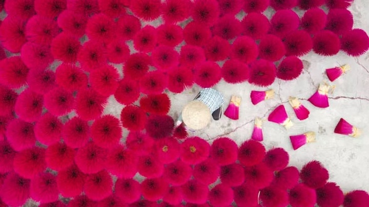 Hanoi listed among locations for Pantone’s 2023 colour of the year - 1