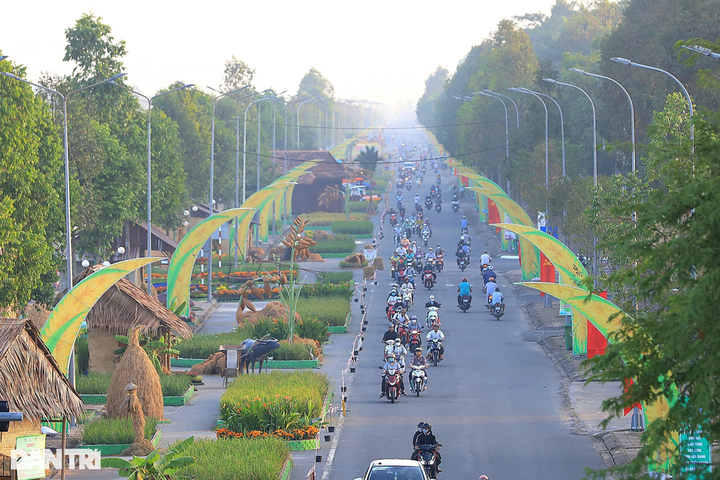 Rice-themed road highlights international festival - 1