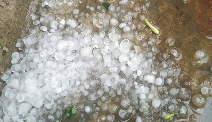 Hail damages dozens of houses in Nghe An - 3