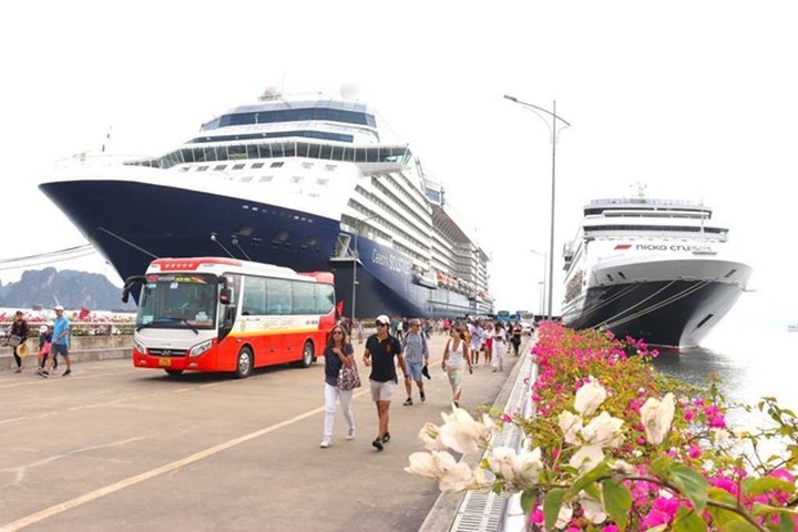 International cruise ships to bring 80,000 visitors to Quang Ninh - 1