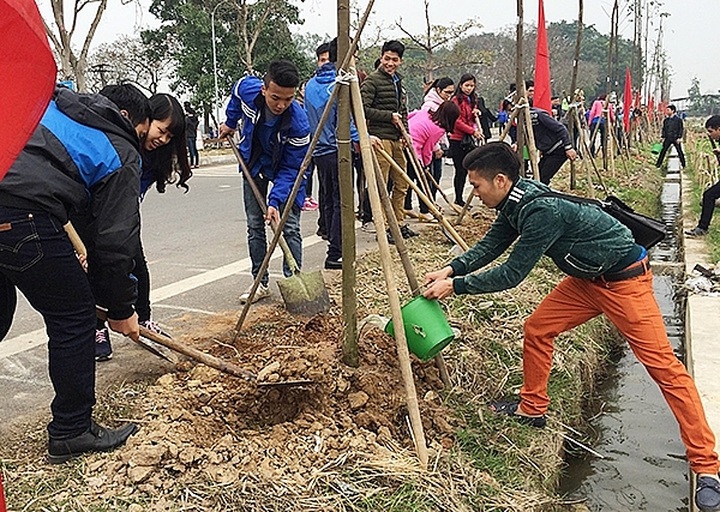 Hanoi launch tree plan this year - 1 Hanoi launch tree plan this year - 1
