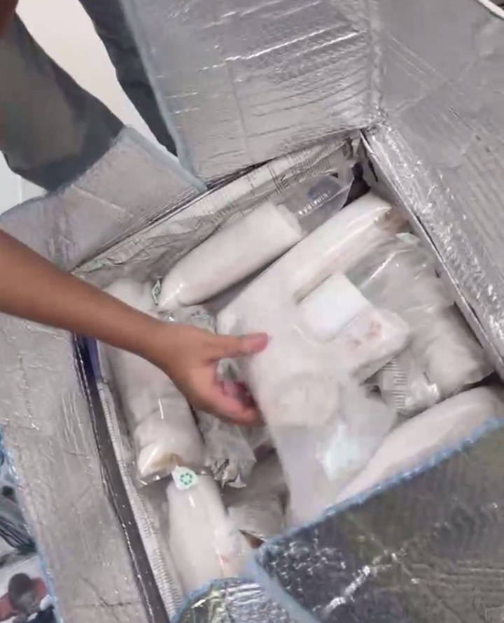 60,000 lobster seeds illegally brought through Danang Airport - 1