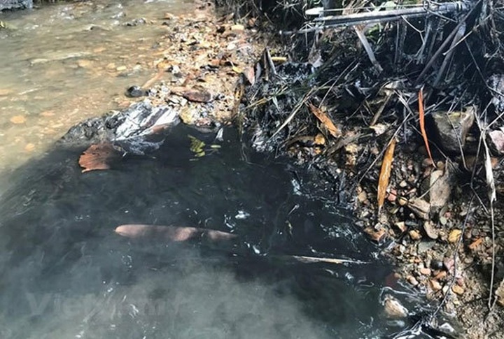 Hanoi water firm offers free water after contamination incident - 1 Hanoi water firm offers free water after contamination incident - 1