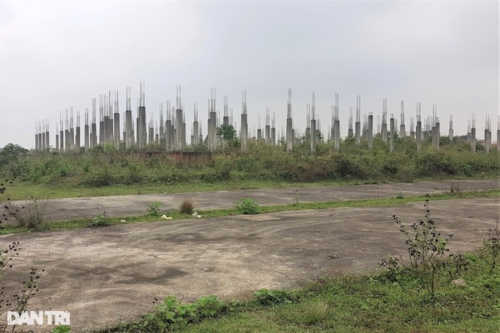 Ninh Binh university project idle for nearly two decades - 6 Ninh Binh university project idle for nearly two decades - 6