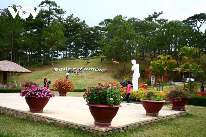 Da Lat among leading must-see flower destinations globally - 1