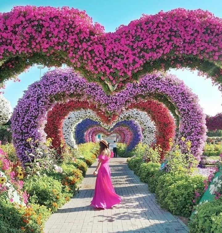 Da Lat Flower Festival to be held by year-end - 1