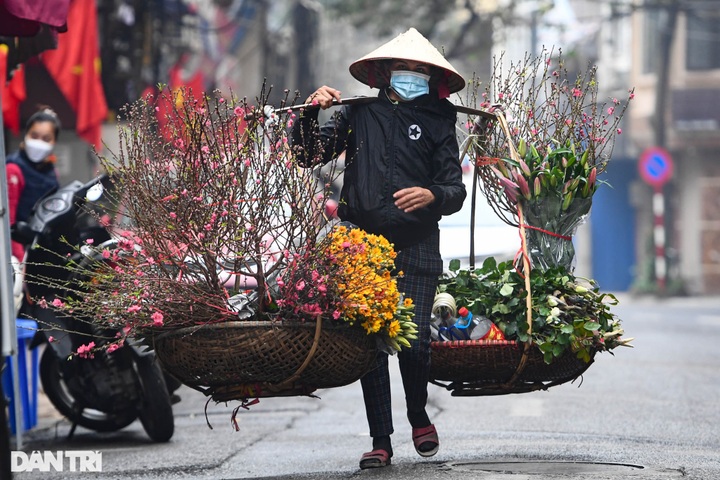 Hanoi streets covered in pink peach blossoms as Tet nears - 1