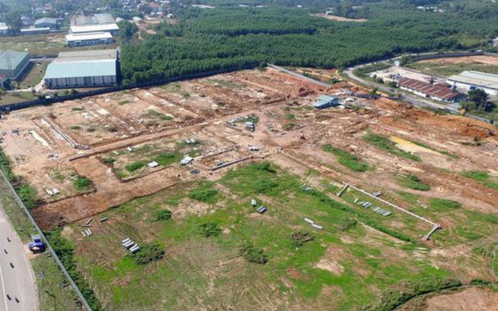 Rubber plantation ended for Long Thanh Airport Project - 1