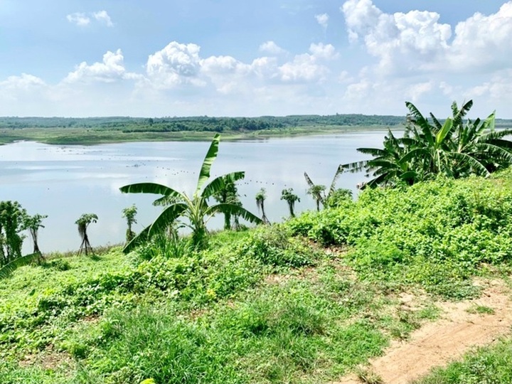 People leave HCM City due to Covid-19 pandemic - 1