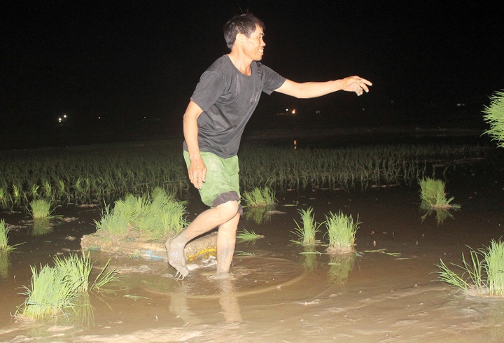 Farmers work nights to escape scorching heat - 3