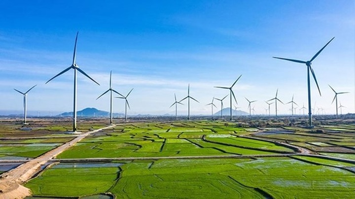 Vietnam’s green economy expected to reach 300 billion USD by 2050 - 1