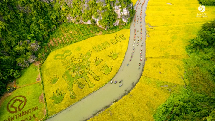 Tam Coc-Trang An’s beauty during festival season - 3