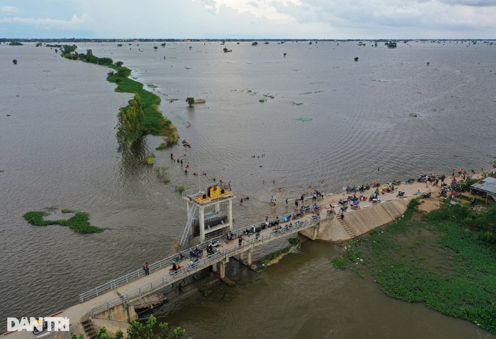 Southwestern people rush to bathe in fields during flood season - 9 Southwestern people rush to bathe in fields during flood season - 9