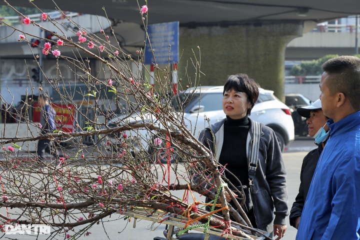 Early peach blossoms on Hanoi streets - 5
