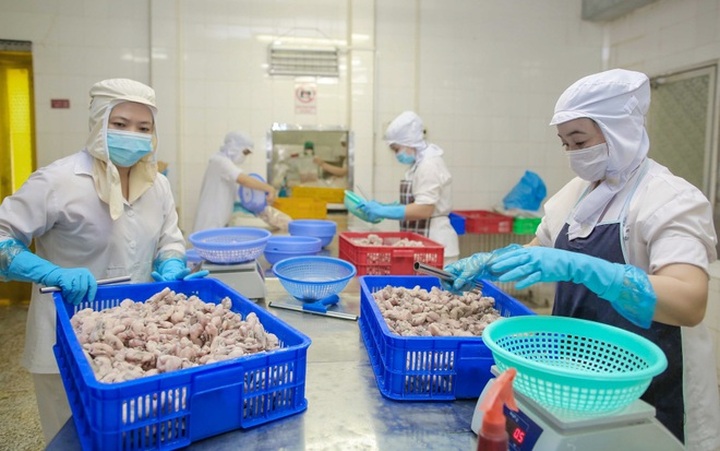 SMEs seek government support to resume businesses - 1